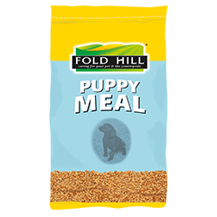 plain puppy terrier meal