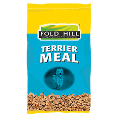 adult terrier meal